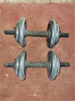 Pair of Handheld lifting weights