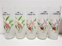 (5) Celebrity Cruise Glasses w/ Drink Recipes