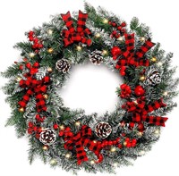 Cocoboo 24 Inch Pre-Lit Christmas Wreath with 50