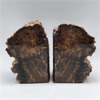 Petrified Wood Bookend Pair