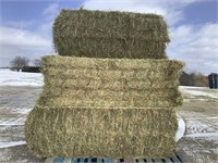 5 Big Square Bales of Alfalfa Grass Mix Hay
