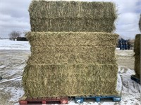 5 Big Square Bales of  Alfalfa Grass Mix Hay