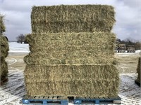 5 Big Square Bales of Alfalfa Grass Mix Hay