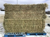 4 Big Square Bales of Alfalfa Grass Mix Hay