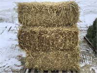 10 Small Square Bales of Straw