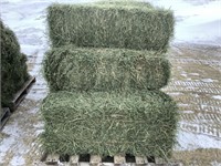 10 Small Square Bales of 4th Crop Grass Hay
