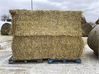 4 Big Square Bales of Rotary Cut Straw