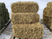 10 Small Square Bales of Straw