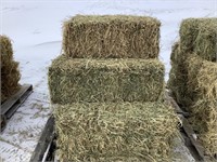 10 Small Square Bales of 2nd Crop Alfalfa/Grass