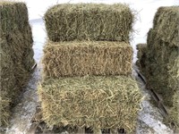 10 Small Square Bales of 2nd Crop Alfalfa/Grass