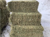 10 Small Square Bales 4th crop Alfalfa Grass Mix