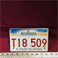Small New Brunswick License Plate