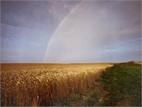Larry Kanfer "Under the Rainbow" S/N