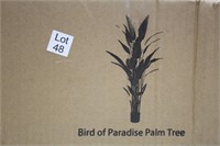 Hanamono Bird-of-Paradise Palm Tree