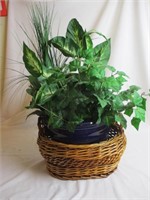 Artificial Plant in Planter & Wicker Basket
