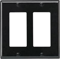 Double Gang Wall Plate