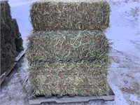 10 Small Square Bales 2nd Crop Grass