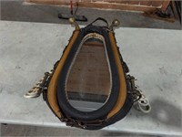 Horse collar with mirror