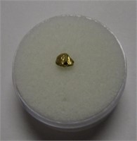 .46 Gram Alaskan Gold Nugget