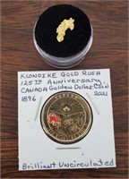 Alaska Natural Gold Nuggets & Coin #3