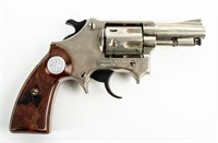 Gun Rossi Princess SA/DA Revolver .22lr