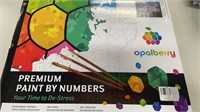 Premium paint by numbers