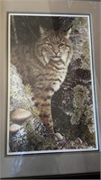 Large Framed Carl Brenders Bobcat print