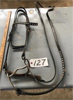 Headstall with Bit and Lines