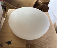 Frosted Globe Light Fixture