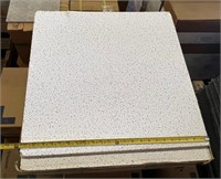 Armstrong 24x24 Ceiling Tiles-12 total