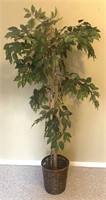 Silk Ficus Tree
