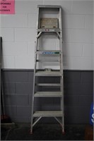 Werner 6ft Ladder