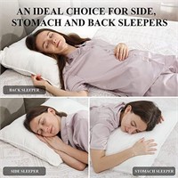 2 Pack Standard Size Pillows
