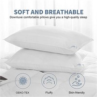 Standard Size Pillows (2 Pack)