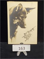 1931 Ken-L-Ration Rin-Tin-Tin Promotional Photo