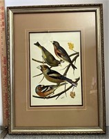 Framed bird artwork