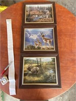 THREE BEAUTIFUL WILDLIFE PICTURES IN FRAMES