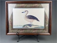 Vintage Framed Duck Drawing Print