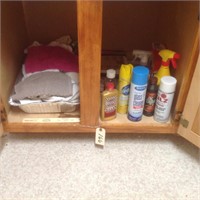 contents of cabinet