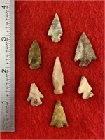 7 Arkansas Bird Points    Indian Artifact Arrowhea