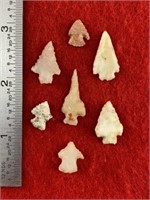 7 Arkansas Bird Points    Indian Artifact Arrowhea