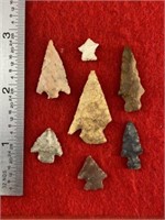 7 Arkansas Bird Points    Indian Artifact Arrowhea