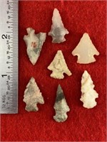 7 Arkansas Bird Points    Indian Artifact Arrowhea