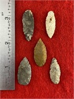 5 Arkansas Nodenas    Indian Artifact Arrowhead