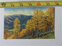Vintage Postcard 1948  Autumn Trees
