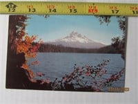 Vintage Picture Postcard 1950"s Mount Hood