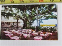 Vintage Picture Postcard Hawaii 50's 60's