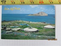 Vintage Picture Postcard Hawaii 50's 60's