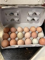 18pk fresh eggs