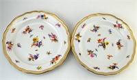 Pair of Meissen Plates (B)